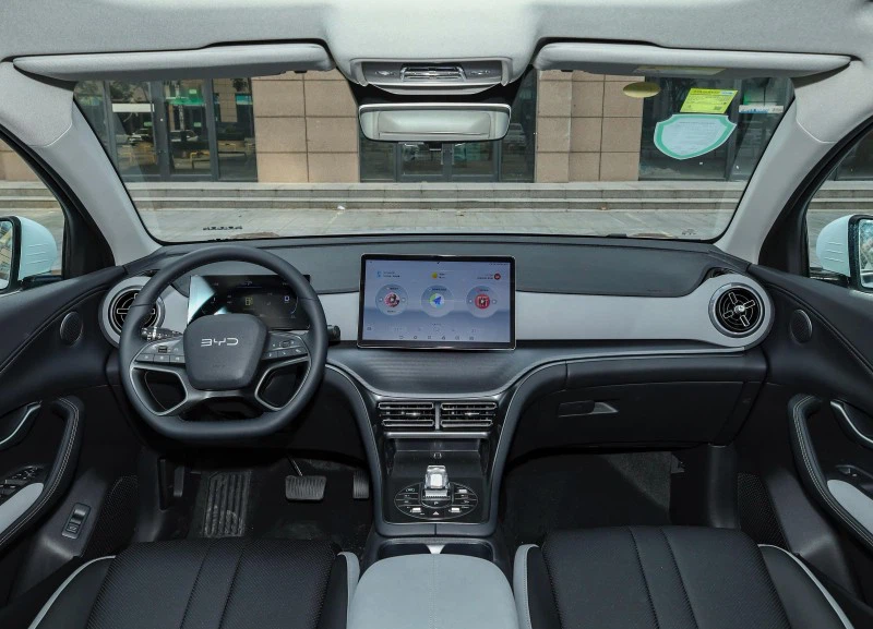 sea lion interior 1 sea lion interior 1