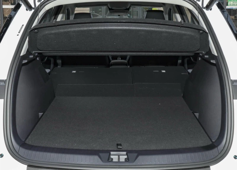 sea lion interior 4 sea lion interior 4