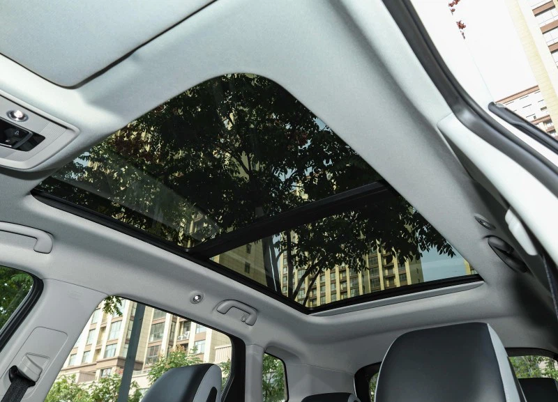 sea lion interior 5 sea lion interior 5