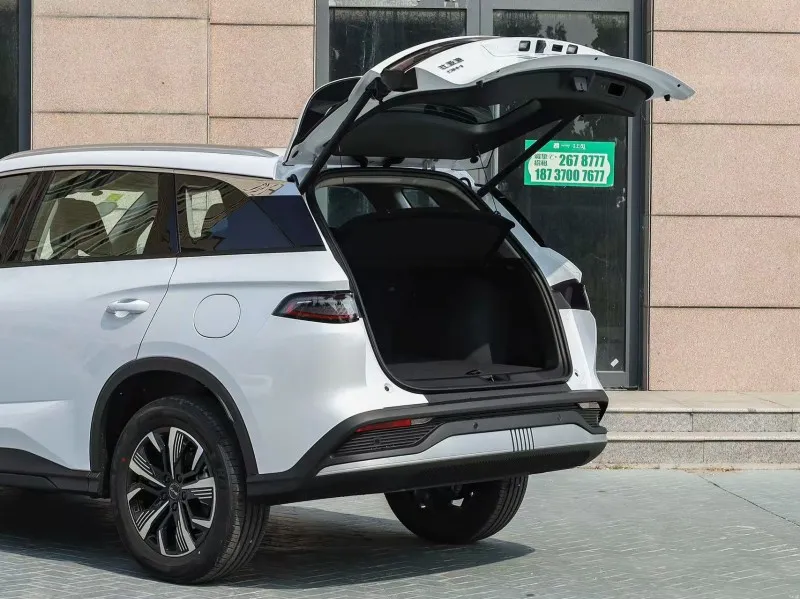 sea lion interior 6 sea lion interior 6