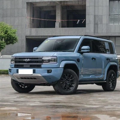 Леопард 5 2025